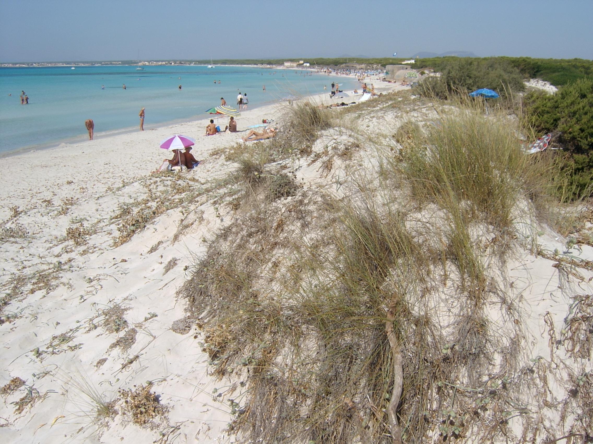 Aparthotel Isla De Cabrera Colonia de Sant Jordi ภายนอก รูปภาพ